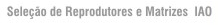 Sele��o de Reprodutores de Matrizes IAO